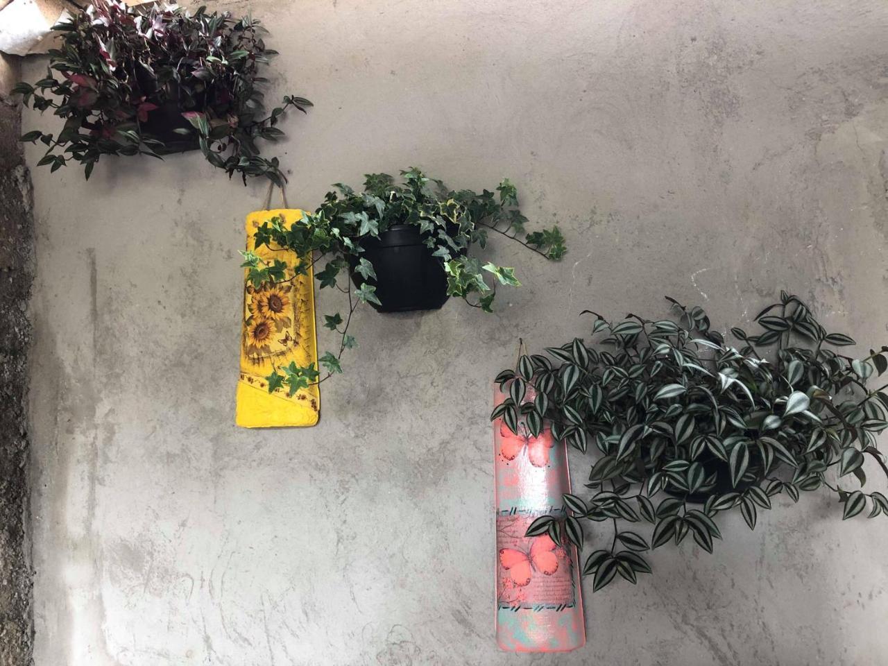 הוילה Campos do Jordão Casa Anexa Com Lareira מראה חיצוני תמונה